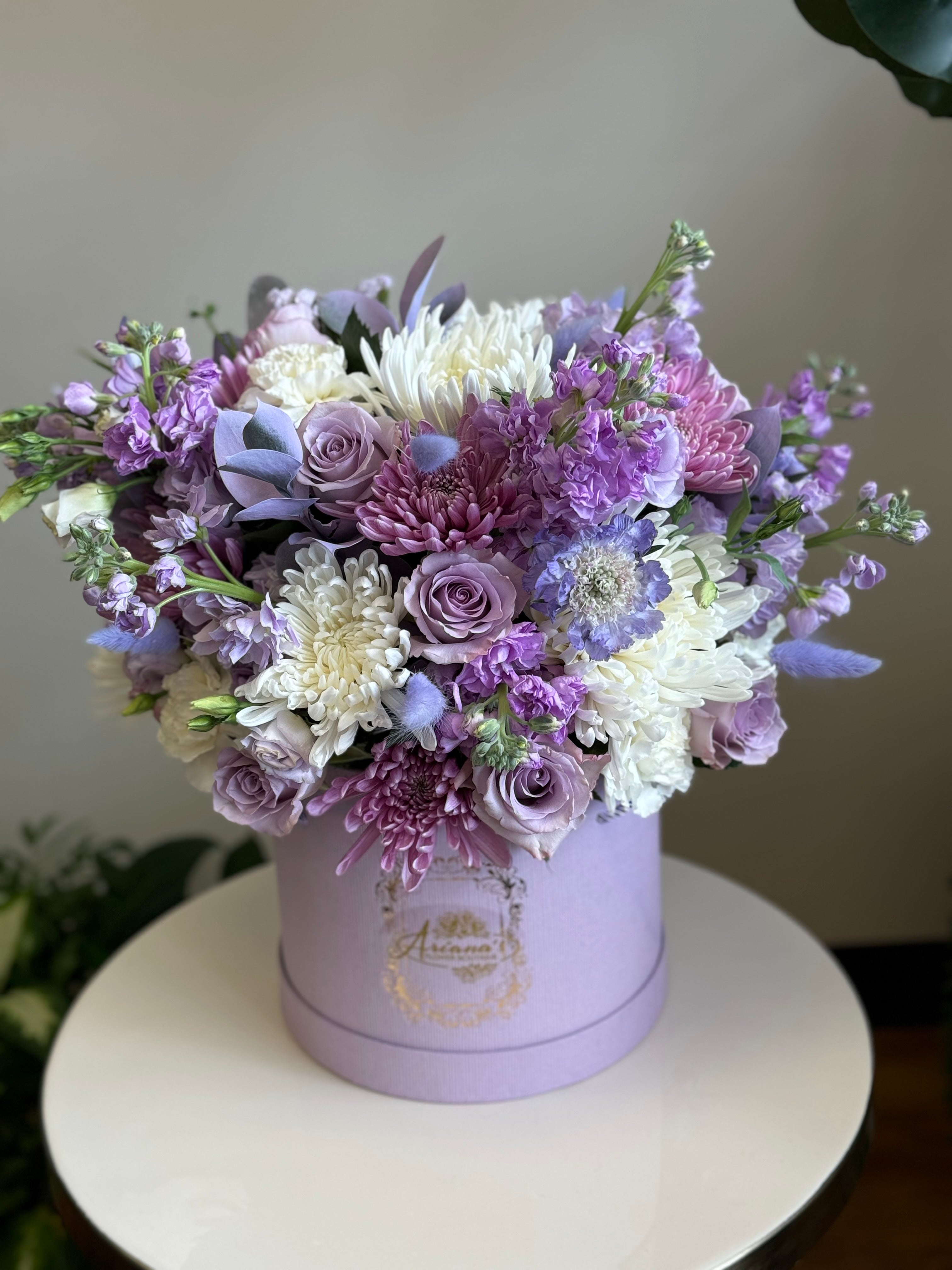 soothing lavender plant Soothing lavender box